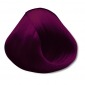 Farba do włosów Chantal Prosalon 5/2 fioletowa oberżyna
