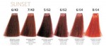Oyster farba do włosów 6/62 ciemny blond fioletowo czerwony + gratis woda utleniona