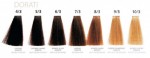 Oyster farba do włosów bez amoniaku 6/3 ciemny złoty blond + gratis woda utleniona