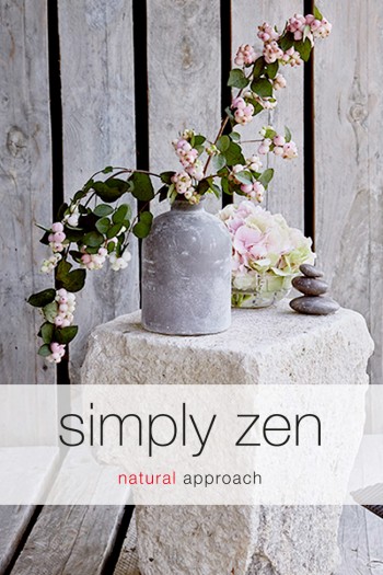Z.one Simply Zen dandruff Controller szampon 250ml