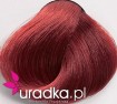 Black Zestaw do farbowania włosów 6.66 - świetlista czerwień